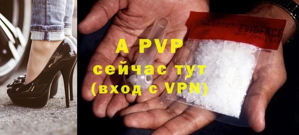 стаф Дмитровск