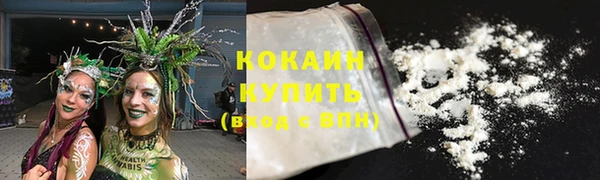 стаф Дмитровск