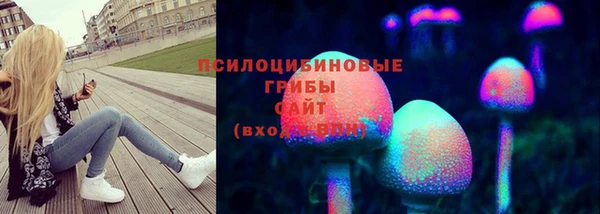 эйфоретик Дмитриев