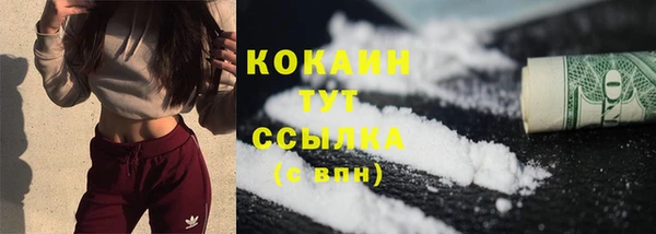 эйфоретик Дмитриев