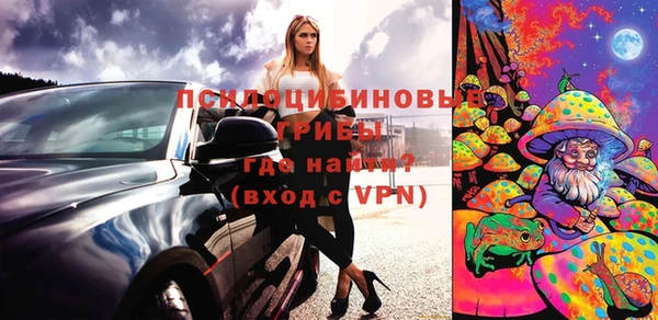 spice Тайга