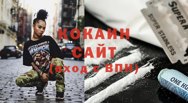стаф Дмитровск