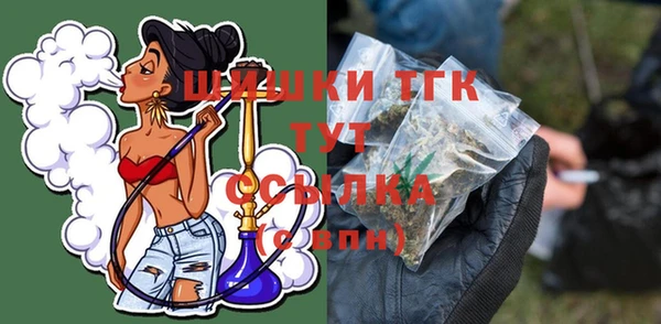 стаф Дмитровск