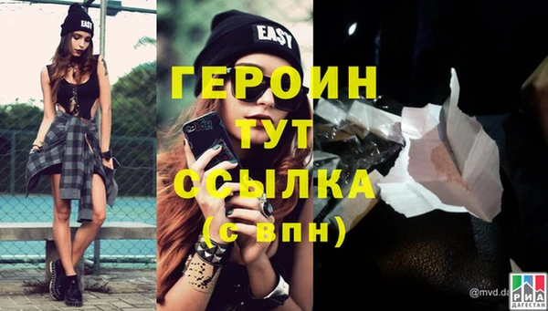 стаф Дмитровск