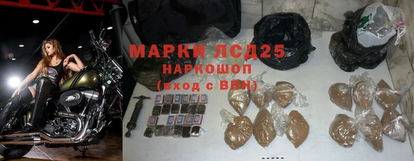 стаф Дмитровск