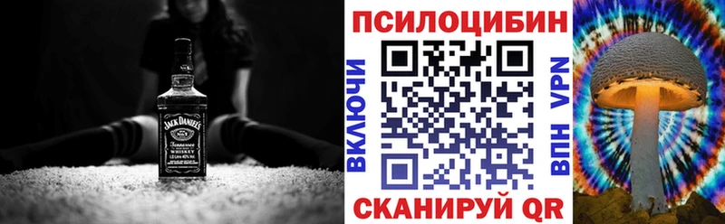 Галлюциногенные грибы Psilocybine cubensis  Купить  Рассказово 